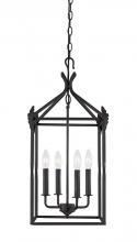 Outdoor Foyer/Hall Lanterns